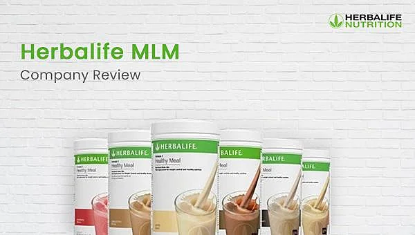 herbalife-mlm-company-review