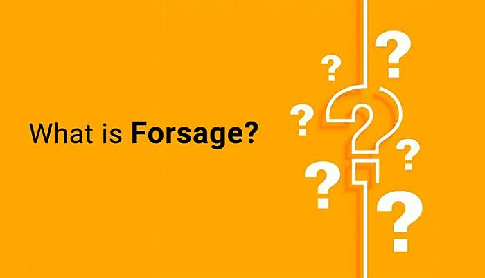 what-is-forsage
