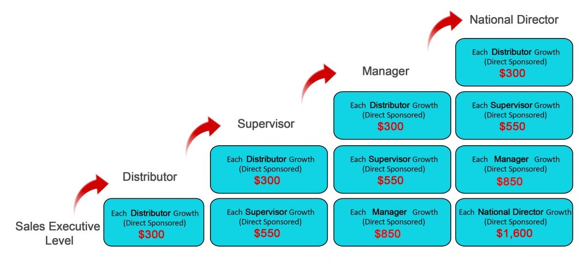 Stair Step Break Away Plan : Infinite MLM Software