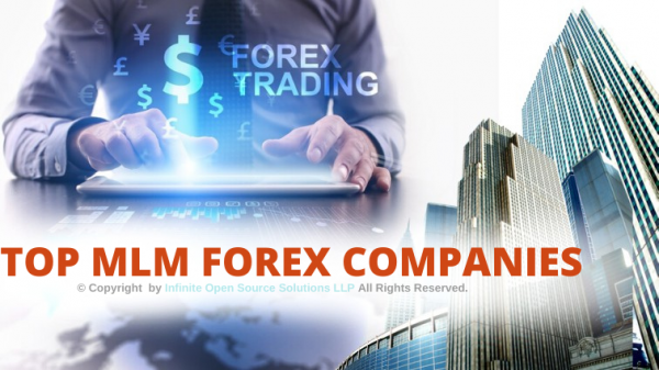 Top 3 Forex Trading MLM Companies 2024