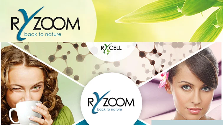 MLM Companies in Germany