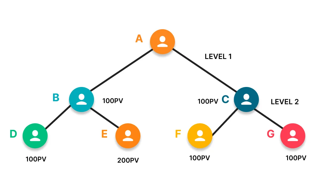 Build Binary MLM Software