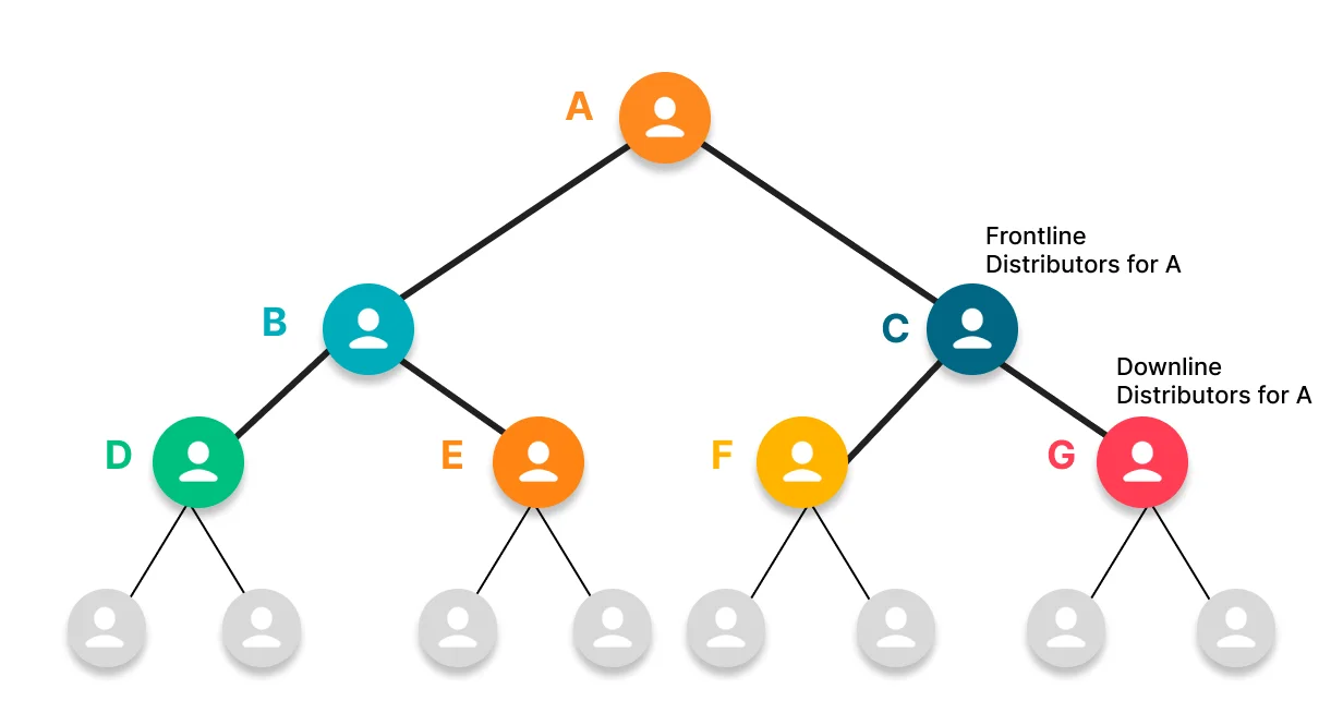 Binary MLM Compensation Plan