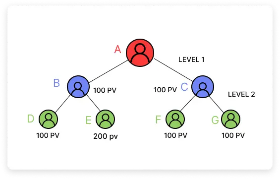 binary-mlm-commission-calculation