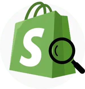 shopify platform
