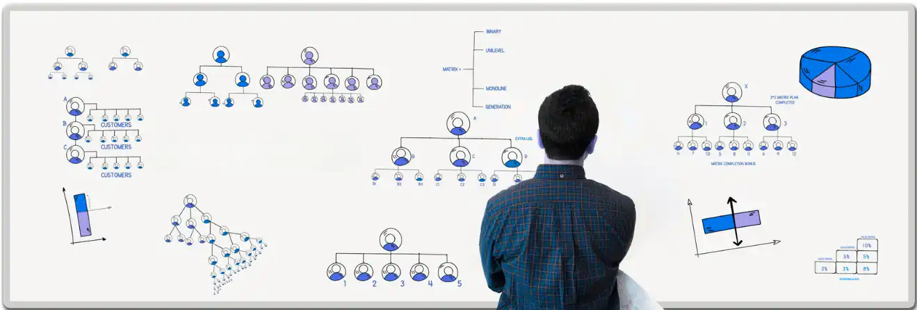 MLM Calculator Visualization