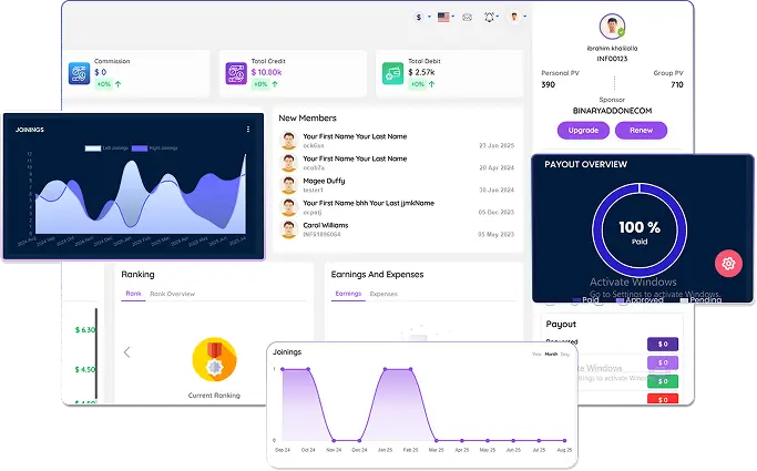 MLM Software Illustration